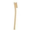 2021-1 Brushes