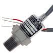 M3041-000005-2K5PG Industrial Pressure Sensors