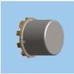 SGRF300D-12 High Frequency / RF Relays