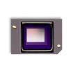 DLP5500BFYA  Semiconductors