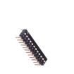 TL-12 DIP Switches/SIP Switches
