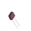 SQT2.50M Fuses with Leads - Through Hole