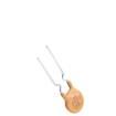 TRC050 Resettable Fuses - PPTC
