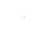 TJ-S1005SW4TGLCCW-A5 Standard LEDs - SMD