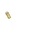 ECLJ0511100M101P00 Aluminium Electrolytic Capacitors - Radial Leaded