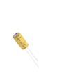 ECLJ0816101M063P00 Aluminium Electrolytic Capacitors - Radial Leaded
