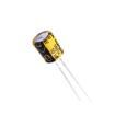 ECRF0809100M161P00 Aluminium Electrolytic Capacitors - Radial Leaded