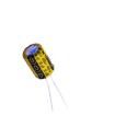 ECRF1014100M401P00 Aluminium Electrolytic Capacitors - Radial Leaded