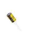 ECRF1016100M451P00 Aluminium Electrolytic Capacitors - Radial Leaded
