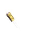 ECRF1020100M501P00 Aluminium Electrolytic Capacitors - Radial Leaded