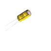 ECRG0816100M251P00  Passive Components