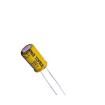 ECRG1016470M161P00 Aluminium Electrolytic Capacitors - Radial Leaded