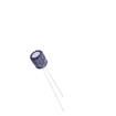 ECSS0505101M010P00 Aluminium Electrolytic Capacitors - Radial Leaded