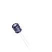 ECSS0607101M016P00 Aluminium Electrolytic Capacitors - Radial Leaded