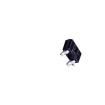 2SA2058(TE85L,F) Bipolar Transistors - BJT