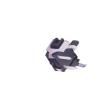 TQ-2520 Basic / Snap Action Switches