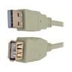 U024-006-BE USB Cables / IEEE 1394 Cables