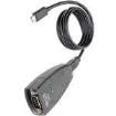 USA-19HS-C USB Cables / IEEE 1394 Cables