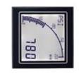APM-RATE-APO Digital Panel Meters
