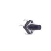 TS-1002-BR10016 Tactile Switches