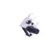 TS-1002N-BR09016 Tactile Switches