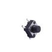 TS-1002S-BR06016 Tactile Switches