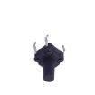TS-1010GD-BR10026  Electromechanical