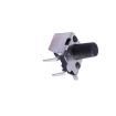 TS-1037-A10B3-D2 Tactile Switches