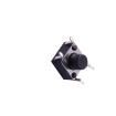 TS-1095E-A5B3-D2 Tactile Switches