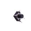 TS-1095E-A6B3-D2 Tactile Switches