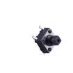 TS-1095TS-B2C2-D1 Tactile Switches