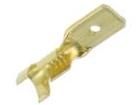 TS_6,3-2/100  Connectors