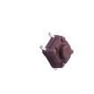 TSW063G50-250K Tactile Switches