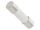 UBM 10A 250V Cartridge Fuses