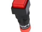 V10F-11Z-R Pushbutton Switches