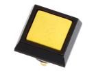 V12S-12Y-A Control Switches