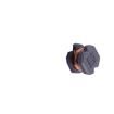 PCD0403KT101 Fixed Inductors