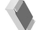 MFU0603FF00800P100 Surface Mount Fuses