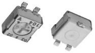 TS53YJ204MR10  Passive Components