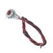 CNX_480_2_RTP_24 LED Panel Mount Indicators