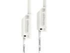 VSFK 8700 / 1 / 100 / WS Test Leads