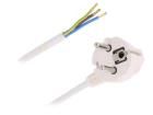 W-97175  Wire & Cable