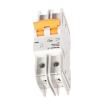 2478890000  Circuit Protection