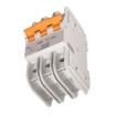 2479170000  Circuit Protection