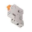 2480150000  Circuit Protection