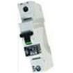 992544  Circuit Protection