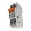 BR2D60UC  Circuit Protection
