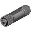 46.031.4554.1 electronic component of Wieland