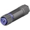 46.031.4554.9 electronic component of Wieland