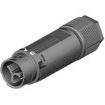 46.032.4554.1 electronic component of Wieland